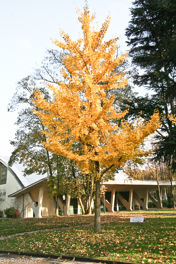 <div></div>