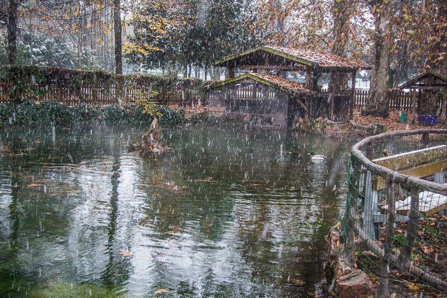 <div></div>
