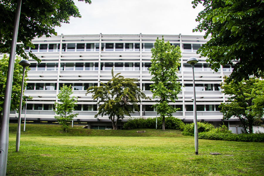 <div></div>