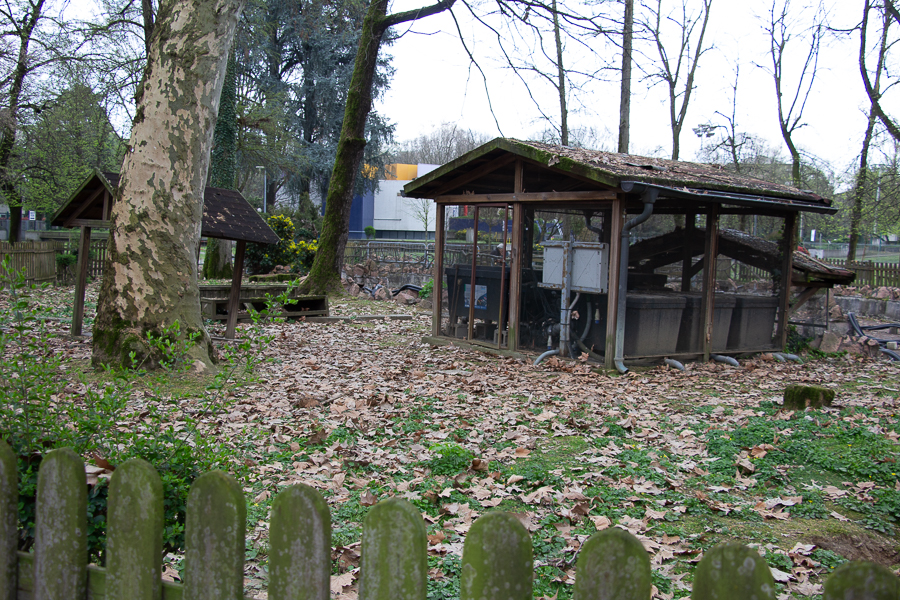 <div></div>