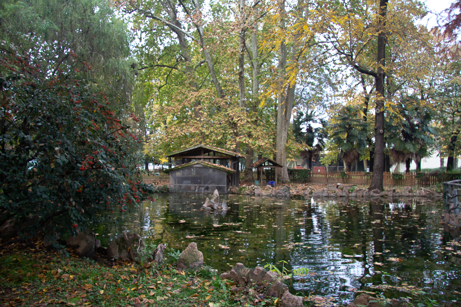 <div></div>